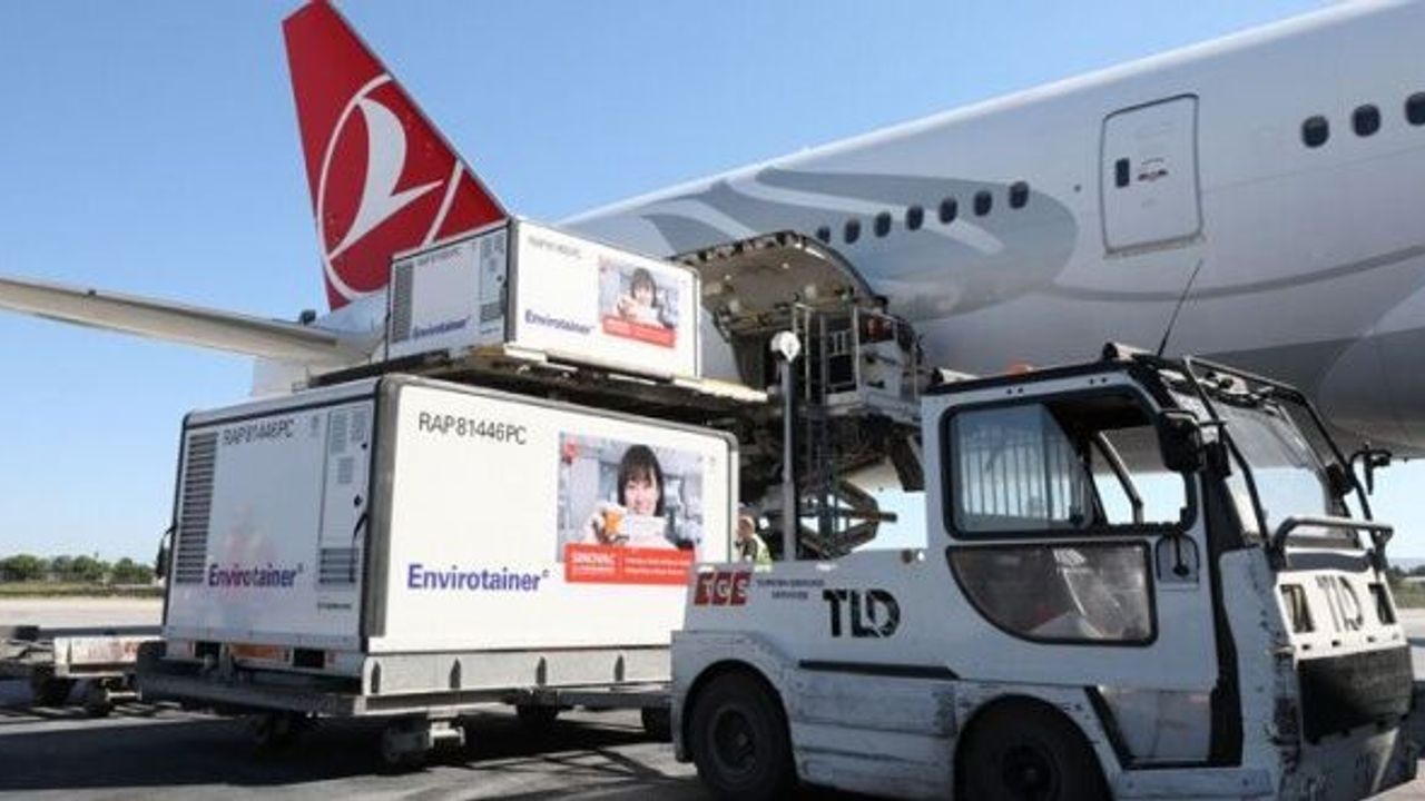 Yeni parti Sinovac aşıları Türkiye'de