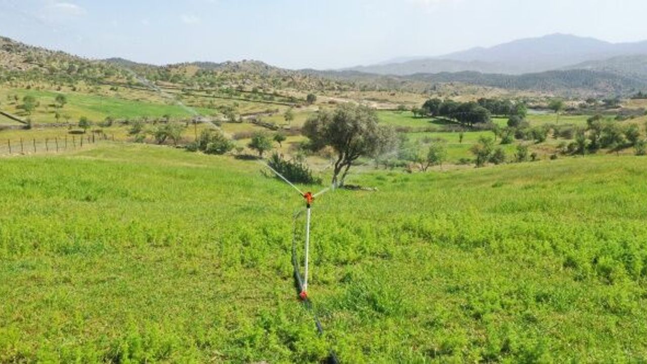 Aydın'da Büyükşehir kurak toprakları hayata döndürdü