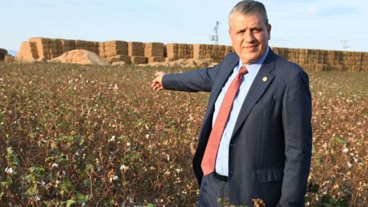 "Pamukta prim 3 yıldır aynı kaldı"