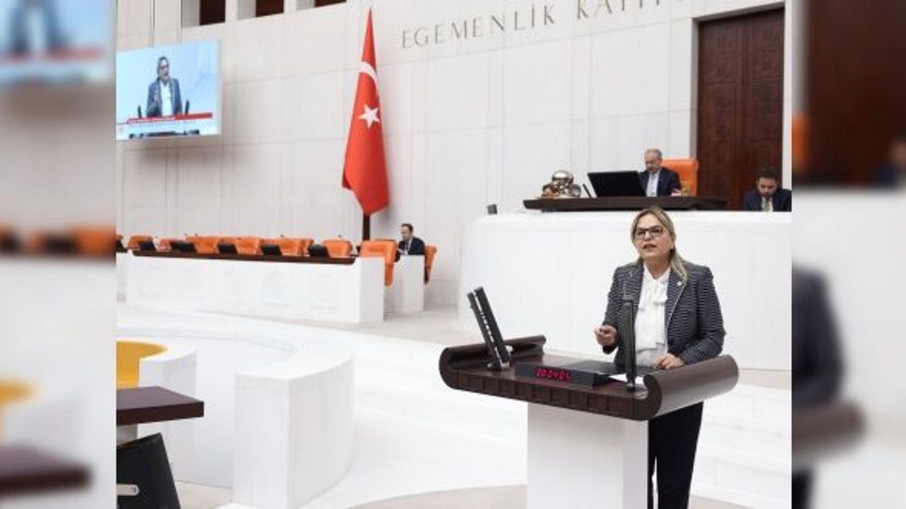 "Gelmeyen tren, olmayan hastane, ekilmeyen kenevir, milyonluk makam araçları"