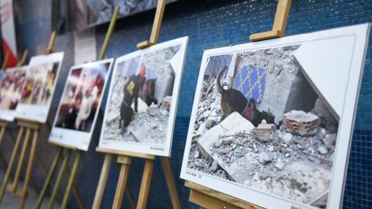 Ankara Büyükşehir'den depremin yıldönümünde fotoğraf sergisi