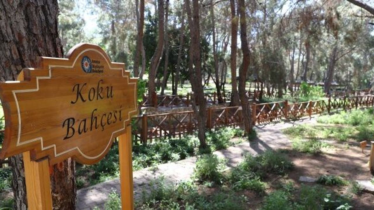 Antalya Büyükşehir’in ‘Koku Bahçesi’ne yoğun ilgi