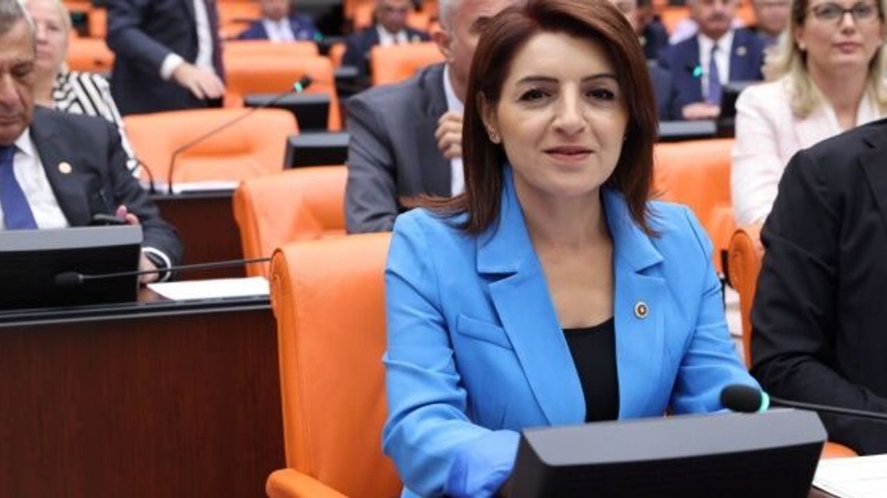 CHP'li Kış: "AKP'nin amacı CHP'li belediyelerin hizmetinin önünü kesmek"