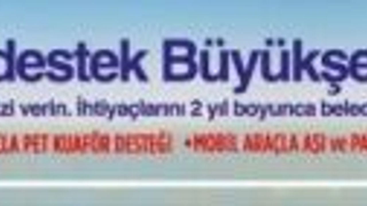 13 Eylül 2024 Mersin Büyükşehir Belediyesi ilanı