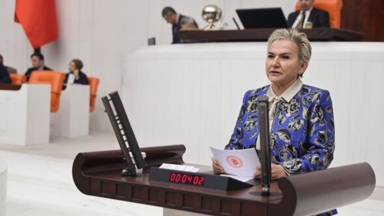 CHP'li Nimet Özdemir, Bakan Yerlikaya’ya Suriyeli Sığınmacıların Geri Dönüş Sürecini Sordu