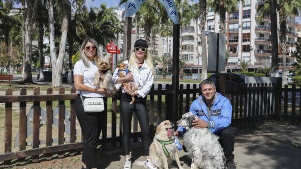Mersin'de patili dostlar için güvenli alan