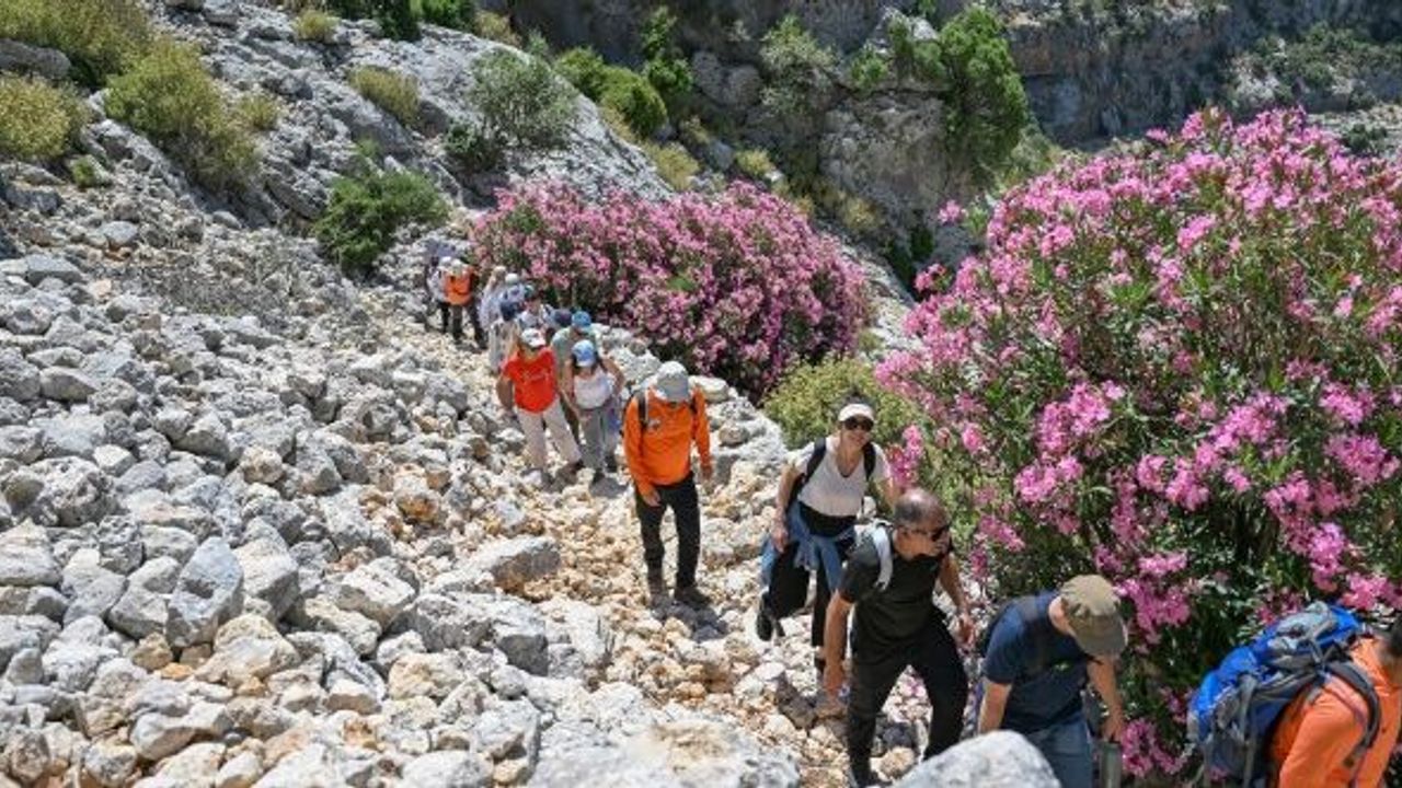 Doğaseverlerin yeni rotası: Tarihi Kilikya yolu