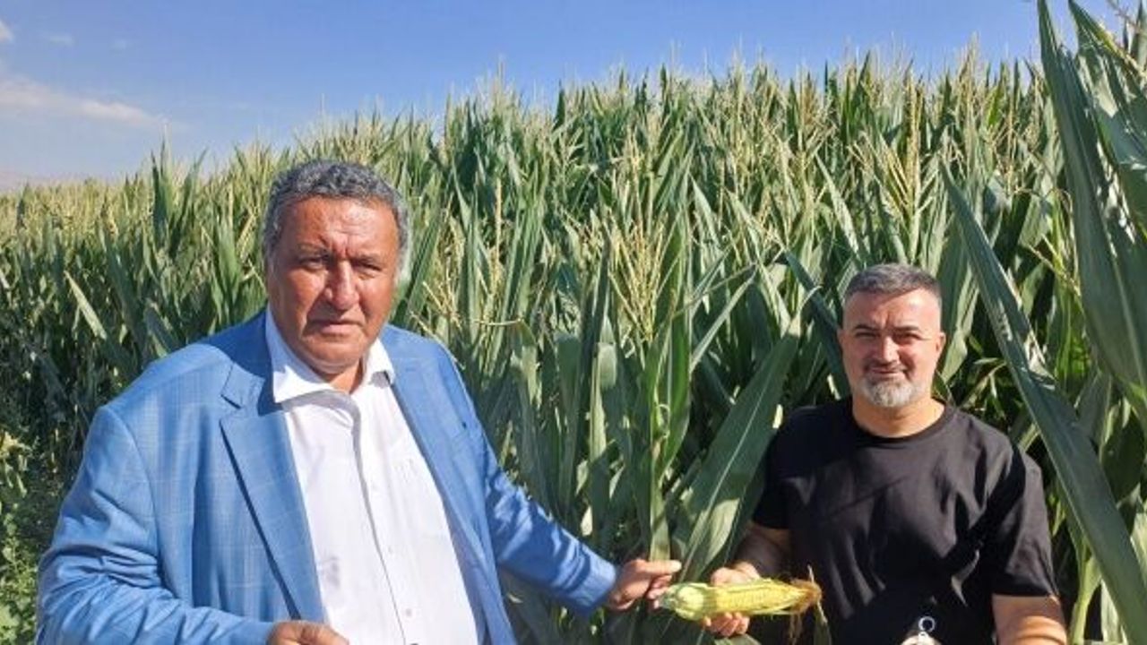 CHP'li Gürer: “Tarımsal atıklar yakıta dönüştürülmelidir”