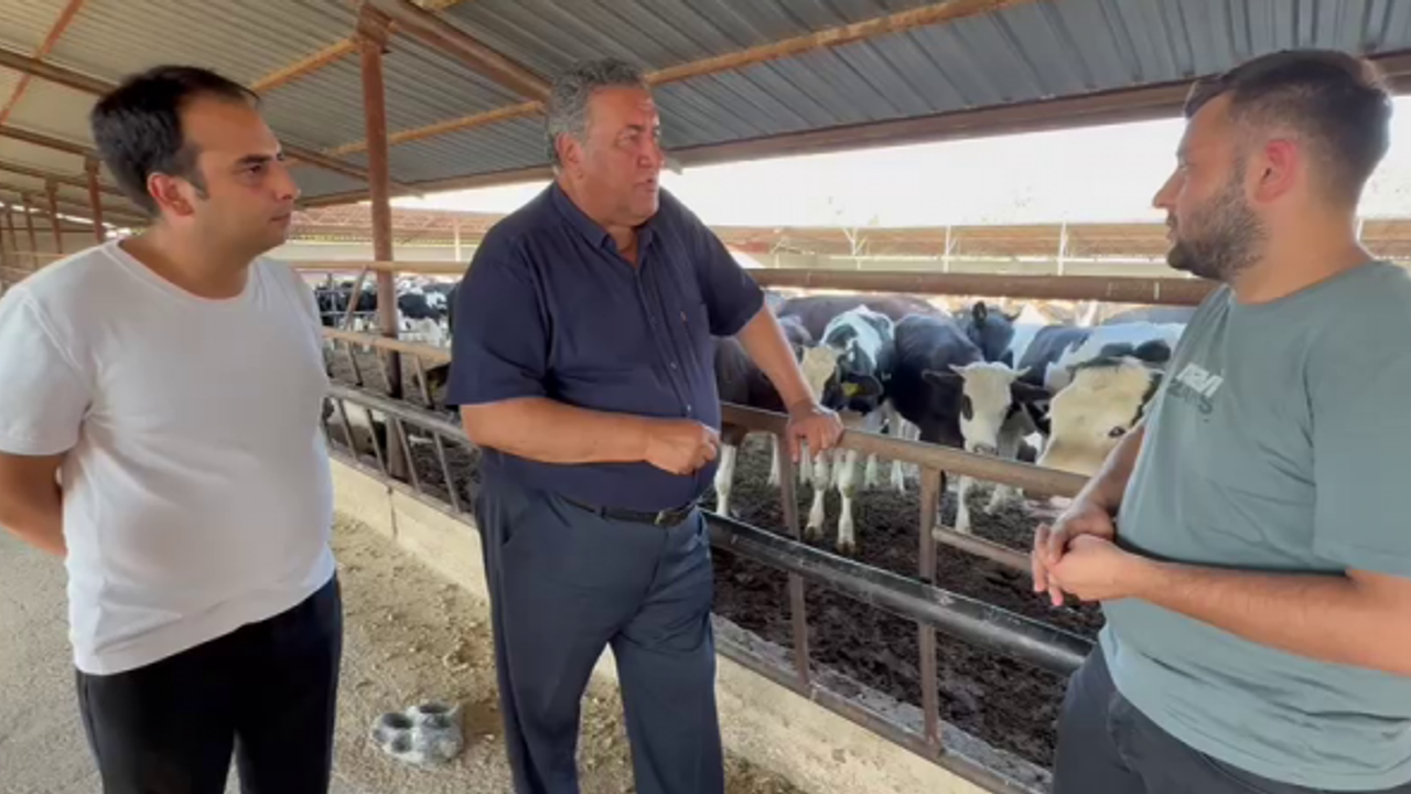 CHP'li Ömer Fethi Gürer: “Şap yayılıyor mu, önlendi mi?”