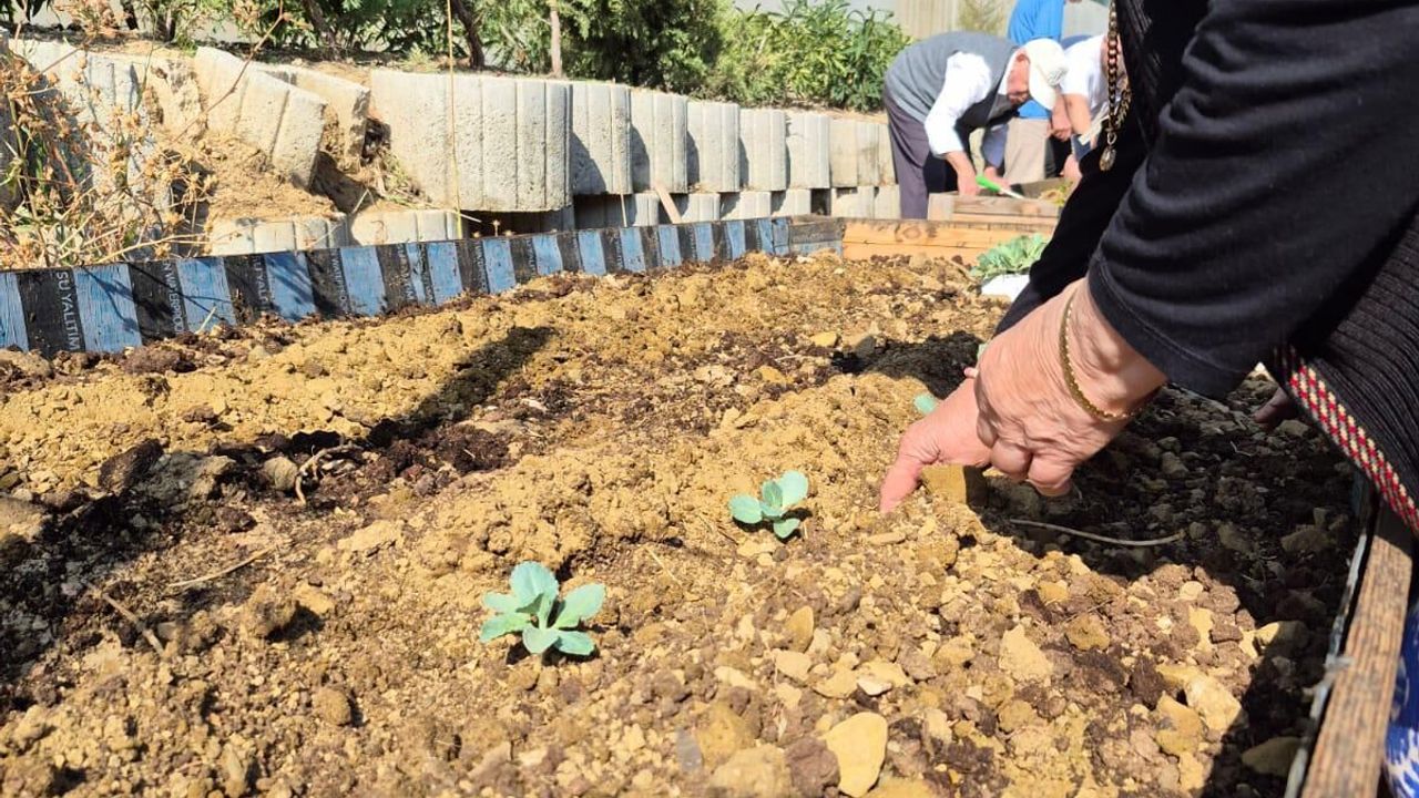 Nilüfer’de Alzheimer farkındalığına fidelerle destek