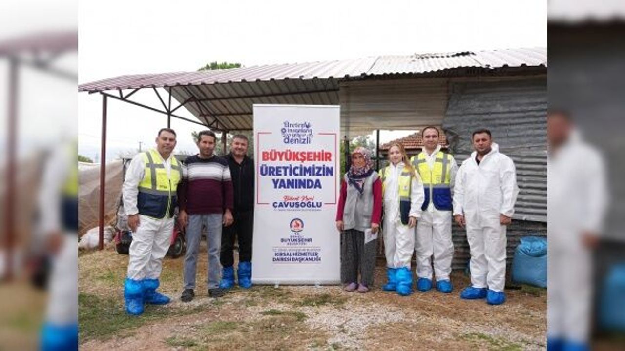 Üreticiler Denizli'de veteriner danışmanlık hizmetinden memnun