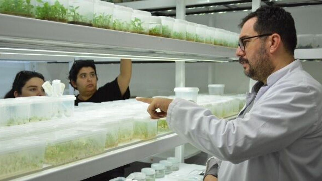 BAÇEM’de V. Bitki Doku Kültürü Kursu Tamamlandı