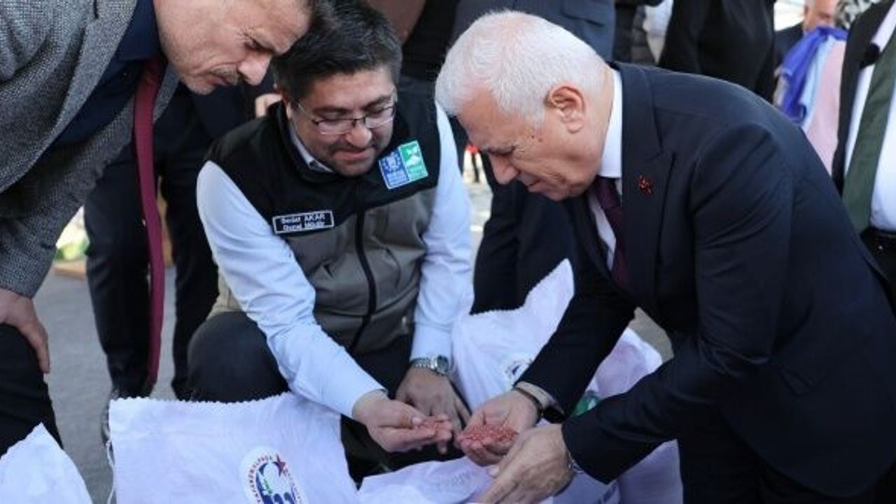 Bursalı çiftçinin yüzü gülüyor