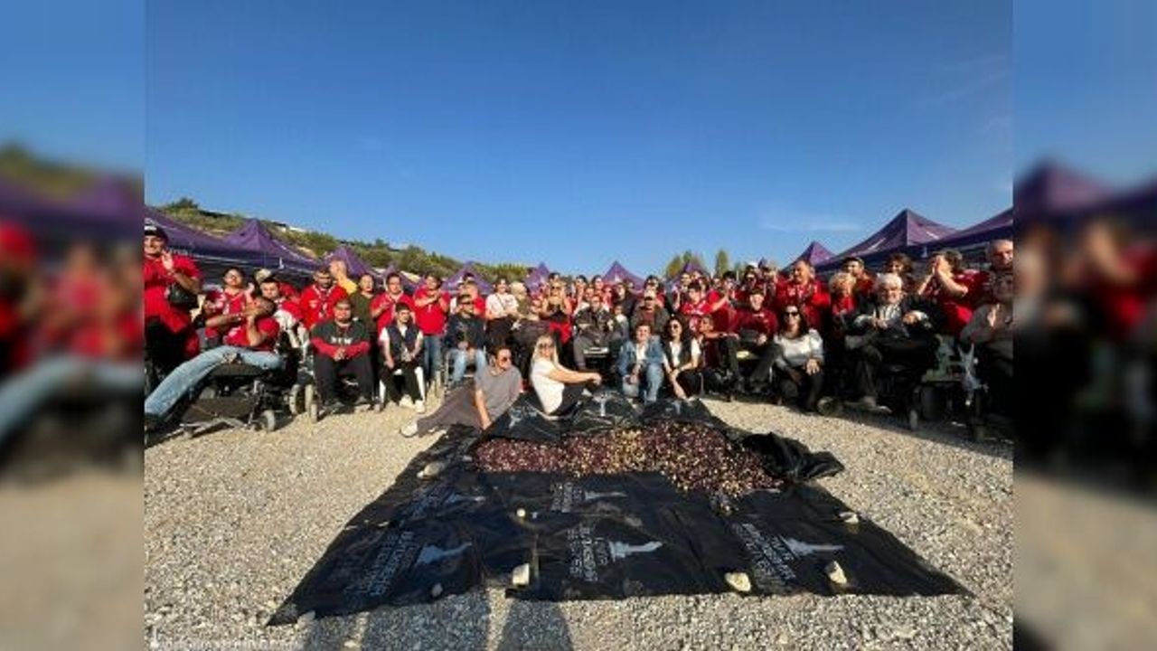 Engelli yurttaşlar ve yakınları zeytin hasadında buluştu