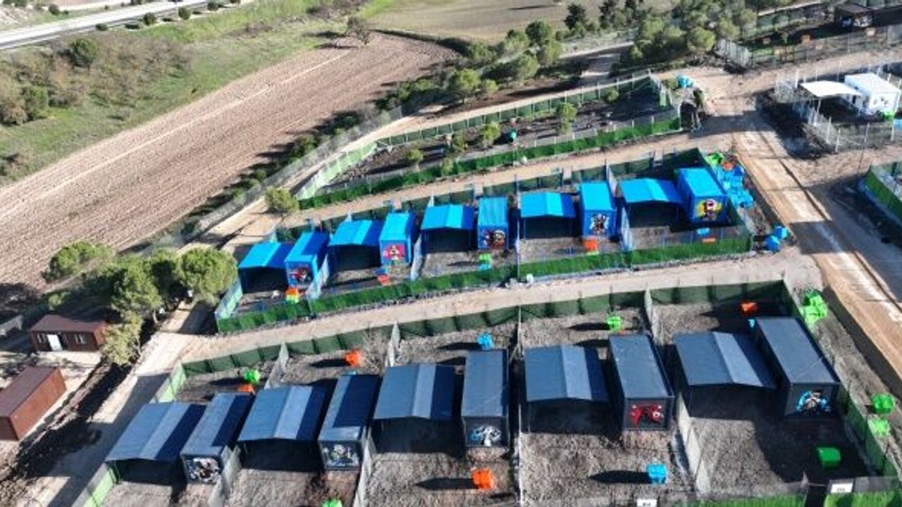 Türkiye’de ilk defa özel gereksinimli can dostlara sıcak yuva Balıkesir’de