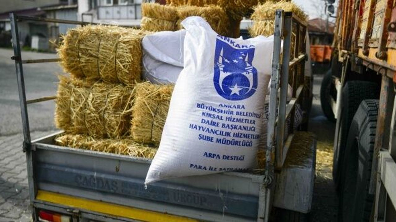 Ankara Büyükşehir'in kırsa kalkınma destekleri sürüyor