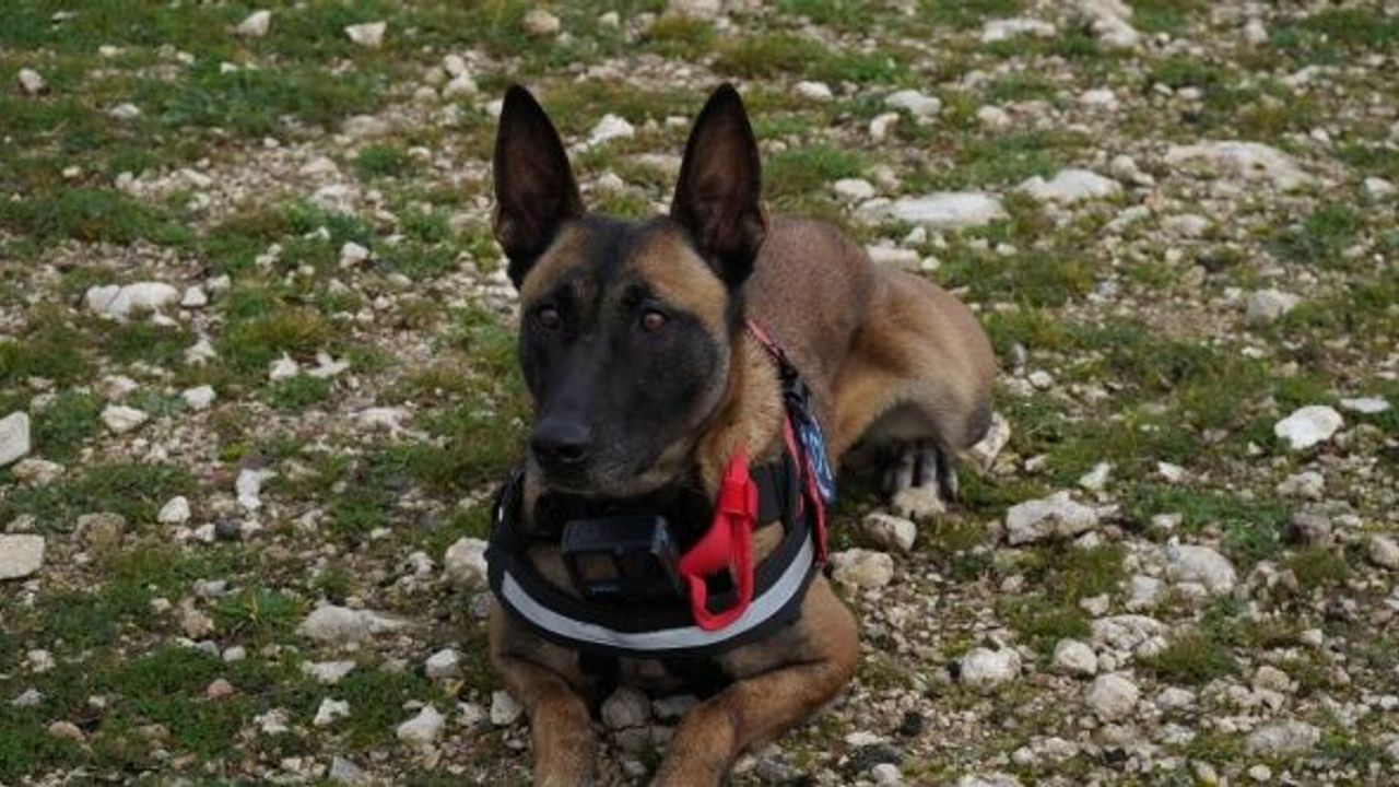 Balıkesir Büyükşehir İtfaiyesi “İda” ile güçlendi