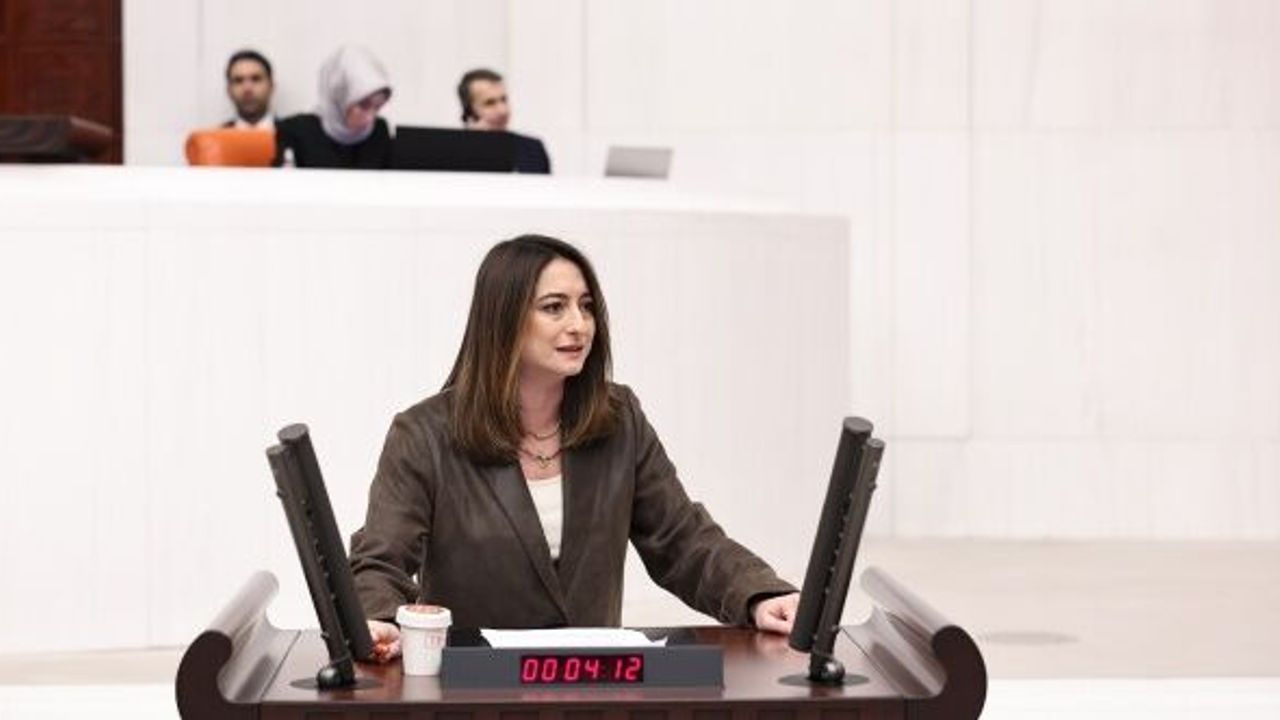 CHP'li Aysu Bankoğlu: Ay sonunu getirmek tarih oldu