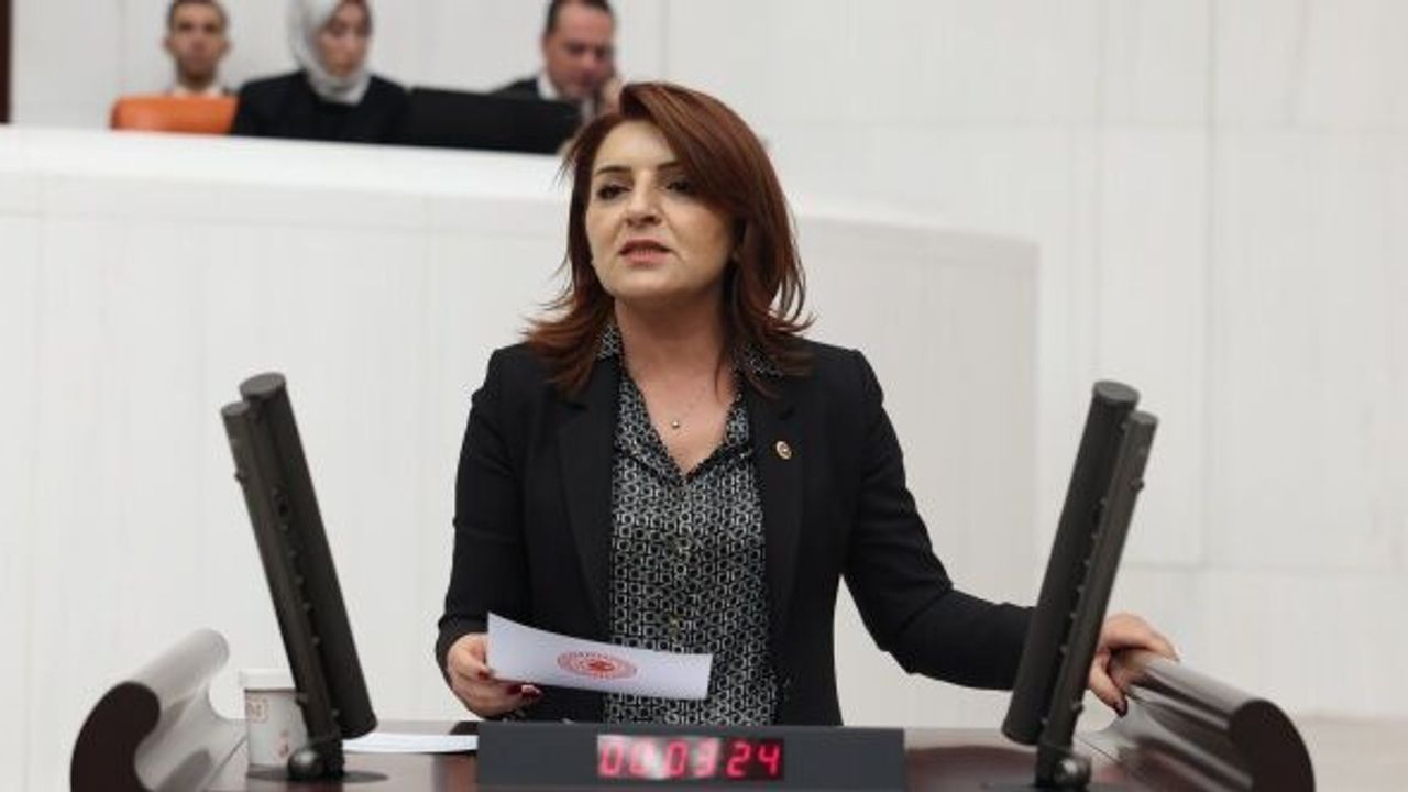 CHP'li Gülcan Kış’tan asgari ücret tepkisi:  “Bu masa meşru değil, 39 bin liranın altı sefalet ücretidir”