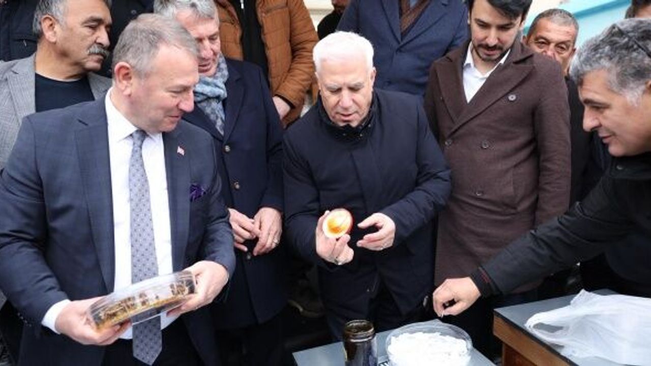 Bursa'da dağ yöresine arı kovanı desteği