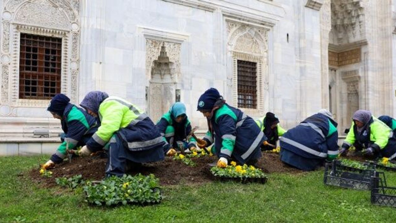 Bursa kışları da çiçek bahçesine dönüşüyor