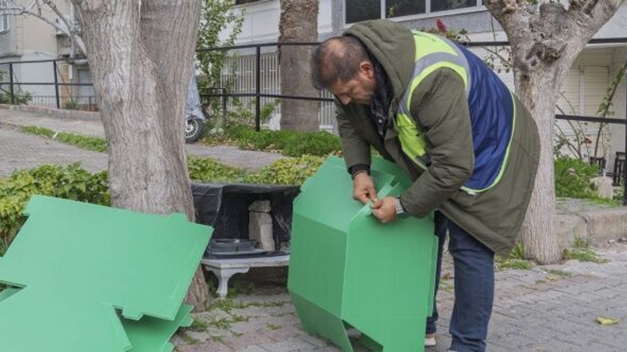Cemil Tugay söz verdi, kediler sıcak yuvalarına kavuştu