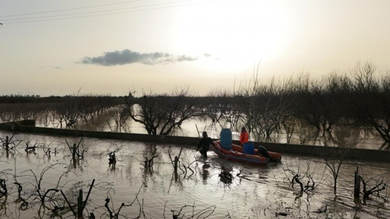 İzmir İtfaiyesi sessiz canlar için zamanla yarıştı
