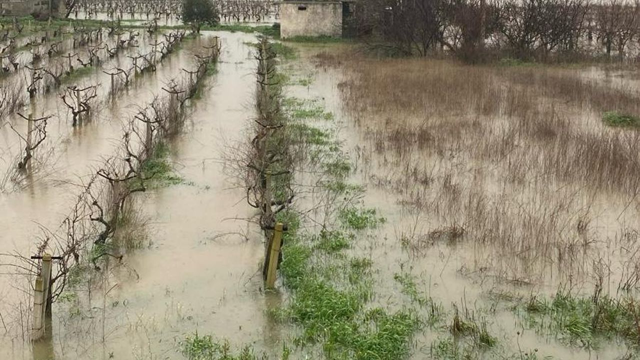 Selde Mahsur Kalanların İmdadına Büyükşehir İtfaiyesi Yetişti
