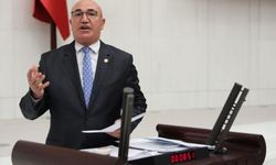 "Kamu işçileri, göçmenlerle aynı hakları istiyor"