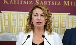 "Bakan Tekin'in açıklamaları büyük sorumsuzluk ve iş bilmezliktir"