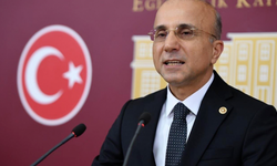 CHP'li Genç'ten sağlık çalışanlarının sorunlarının çözümü için araştırma önergesi