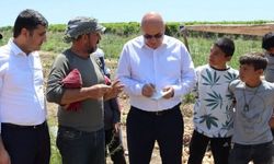 CHP'li Tanal'dan mevsimlik tarım işçileri için kanun teklifi