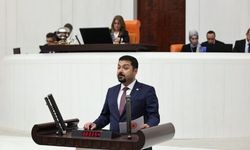 "Tasarrufu yerel basından değil, lüksten yapın"