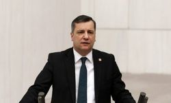 CHP'li Ceylan'dan orman yangınlarına karşı TSK çağrısı