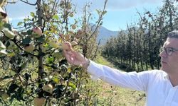 "İktidarın yalnız bıraktığı üreticilerimizi bir de dolu vurdu”