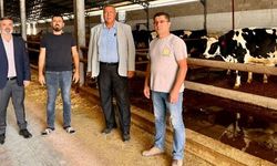 “Süt sudan ucuz”