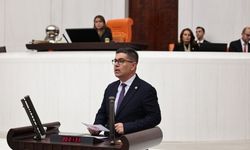 CHP'li Halıcı: "Açlıktan bayılan öğrencilerden haberiniz var mı?"