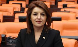 CHP’li Kış’tan TOKİ Kamulaştırmalarına Tepki: “Halkın Mülkiyet Hakkı İhlal Ediliyor”