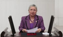 CHP'li Yontar'ın emekliler için verdiği teklif reddedildi