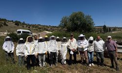 Arıcılık Eğitimlerinde Uygulama Aşamasına Geçildi