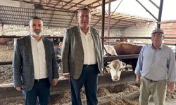 “3 yılda 2,7 milyar dolar hayvan ithalatına gitti”