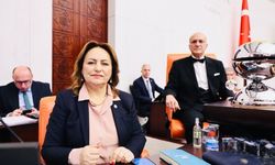 “AKP, yerel yönetimleri devre dışı bırakmak istiyor”