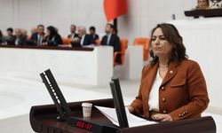 “Deprem komisyonu raporları raflarda kaldı!”