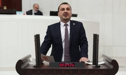 "Son 5 yılda üniversite eğitimini donduran öğrenci sayısı yarım milyonu buldu"