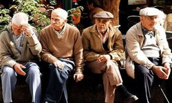 Türkiye'nin en yaşlı ve en genç illeri belli oldu