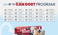 Can Dost, patili canlara şifa dağıtmak için yollarda