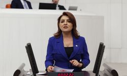 "İşsizlik düşmüyor, gençler iş aramaktan vazgeçiyor"