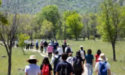 ABB İle Doğaya Dönüş