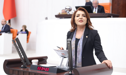 "Hastalar ilaca değil çaresizliğe erişiyor"