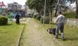 Kartal’ın Park ve Yeşil Alanları Yaza Hazırlanıyor